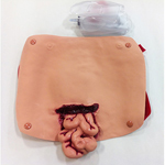 Simulaids 800-6808 Abdominal Wound With Protruding Intestines