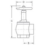 Dixon AV250-RBR Seal Domestic Cast Angle Hose Valves Parts 1 PK